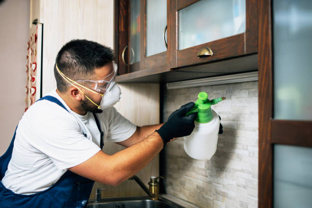 Best Pest Removal Services  in Chenoweth, OR