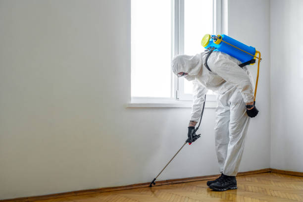 Best Pest Control for Homes  in Chenoweth, OR