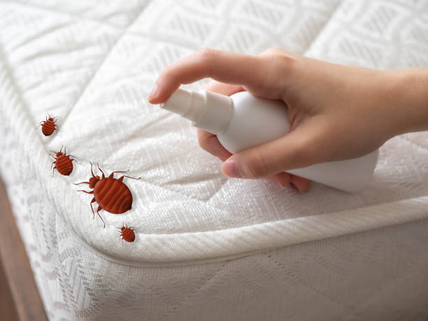 Best Best Pest Control Near Me  in Chenoweth, OR