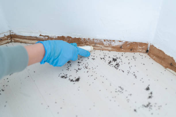 Pest Control for Restaurants in Chenoweth, OR